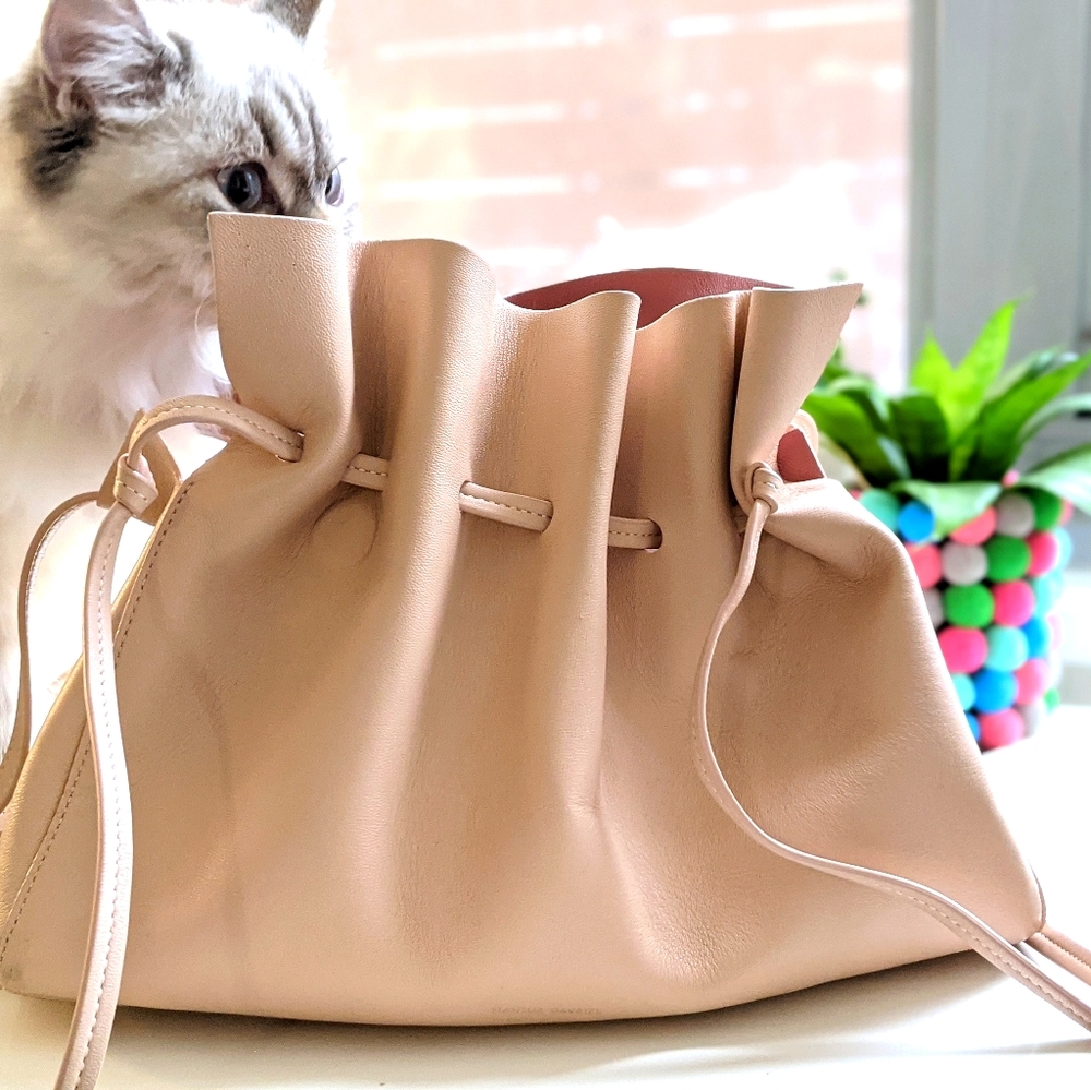 Mansur Gavriel protea bag, ballerina blush large